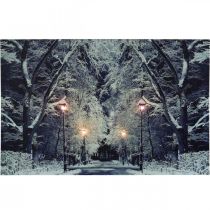 LEDkuva talvimaisemapuisto lyhtyillä LED seinämaalaus 58x38cm