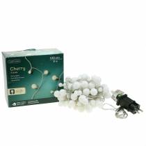 kohteita LED Fairy Lights Cherry lämmin valkoinen 9m 120LED