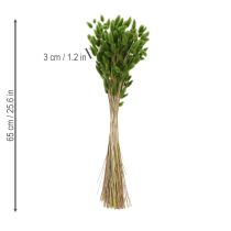 kohteita Kuivattu Lagurus (jäniksenhäntäheinä) 65-70 cm 75 g