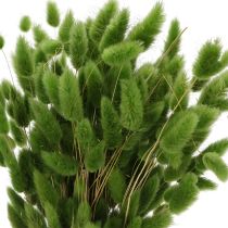 kohteita Kuivattu Lagurus (jäniksenhäntäheinä) 65-70 cm 75 g
