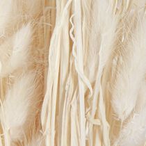 kohteita Kuivatut kukat Lagurus Natural – Fluffy Rabbit Tail Grass kermanvalkoisena 55-70cm 100g