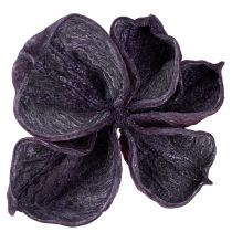 kohteita Landlotus Mix Blackberry, Old Pink 50 kpl