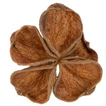 kohteita Landlotus Nature 50 kpl