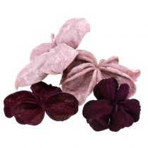 kohteita Landlotus Mix Blackberry, Old Pink 50 kpl