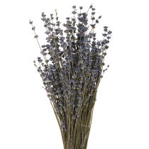 kohteita Laventeli kuivatut kukat koristelu Natural 100g 40cm 100g × 2kpl