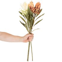 kohteita Keinotekoinen Protea Leucadendron -kukka pitkällä varrella, 65 cm, 3 kpl