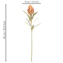 kohteita Keinotekoinen Protea Leucadendron -kukka pitkällä varrella, 65 cm, 3 kpl