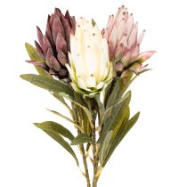 kohteita Protea-tekokukka Leucadendron 65cm 3kpl