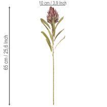 kohteita Protea-tekokukka Leucadendron 100cm 3kpl