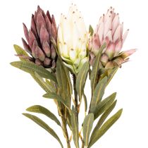 kohteita Protea-tekokukka Leucadendron 100cm 3kpl