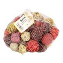 kohteita Leucadendron käpyjä Bellgum Green Red Yellow Frosted 300g