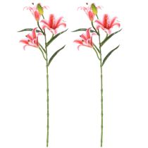 kohteita Tyylikäs keinotekoinen lilja olohuoneen sisustukseen ja realistiseen ulkonäköön, 67 cm, 2 kpl