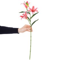kohteita Tyylikäs keinotekoinen lilja olohuoneen sisustukseen ja realistiseen ulkonäköön, 67 cm, 2 kpl
