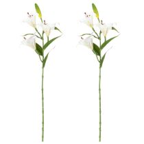 kohteita Tekoliljakukka, realistinen kopio, kestävä sisustuselementti asuintiloihin, 66 cm, 2 kpl