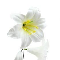 Lily on wire medium 25kpl