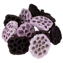 kohteita Lotus Mix Pink, Erika Ø6cm - Ø10cm 50 kpl