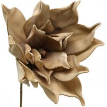 Lootuskukka, lootuksenkukka koriste, tekokasvi beige L66cm