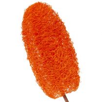 Loofah large on a stick oranssi 25kpl