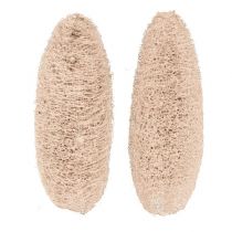 kohteita Luffa iso valkaistu 20 kpl