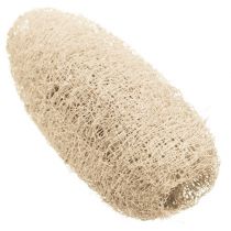 kohteita Luffa pieni valkaistu 50 kpl