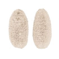 kohteita Luffa pieni valkaistu 50 kpl