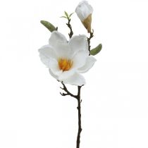 Magnolian valkoinen tekokukka silmuilla deco-oksalla H40cm