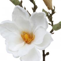 Magnolian valkoinen tekokukka silmuilla deco-oksalla H40cm
