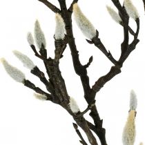 Keinotekoinen magnoliaoksa Kevätkoristeluoksa silmuilla Ruskea Valkoinen L135cm