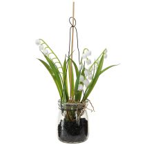 kohteita Kielo lasissa Keinotekoinen Early Bloomers H22cm 3kpl
