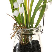 kohteita Kielo lasissa Keinotekoinen Early Bloomers H22cm 3kpl