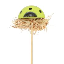 kohteita Leppäkerttu koristeelliset kukkatulpat puunväriset 3,5cm 24 kpl