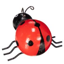 kohteita Puisia leppäkerttuja/onnentuojia söpöinä kodin koristeina, 5 cm, 6 kpl