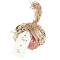 kohteita Merellinen koristekuorisekoitus verkossa värikäs 3,5-6cm 300g × 3kpl