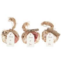 kohteita Merellinen koristeellinen simpukkasekoitus verkossa, värikäs, 3,5-6 cm, 300 g × 3 kpl