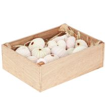 kohteita Merisiilikoristeita vaaleanpunainen, valkoinen scatter koriste 20 kpl