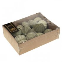 kohteita Meriaiheinen koriste merisiilikoriste vihreä kesäkoriste Ø5-6cm 15 kpl