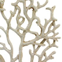 kohteita Merellinen pöytäkoristelu korallibeige koristekorallipolyresiini H20cm