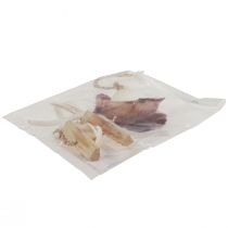 kohteita Meritähti koristeellinen ripustuskuori Ø10-12cm 40cm