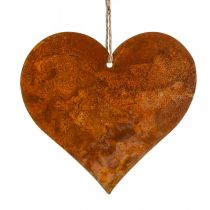 kohteita Metalliset sydämet, koristeelliset riipukset, ruostekoriste 19×20 cm 4kpl
