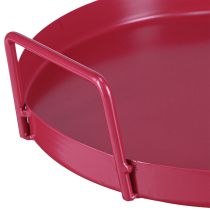 kohteita Monipuolinen tarjotin, käytännöllinen säilytys ruokasaliin ja terassille, 22 cm