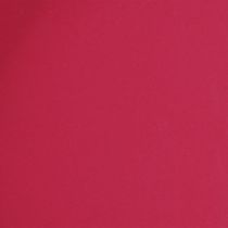 kohteita Monipuolinen tarjotin, käytännöllinen säilytys ruokasaliin ja terassille, 22 cm