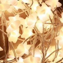 kohteita Micro Cluster LED keijuvalot tähdet 120 LED 300cm