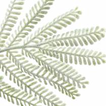 kohteita Koristeellinen oksa mimosanvihreä huurreefekti 63cm