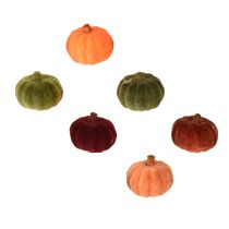 kohteita Minikurpitsan koriste, flokkaa, sirontakoristeet, 6 väriä, Ø4cm, 24 kpl
