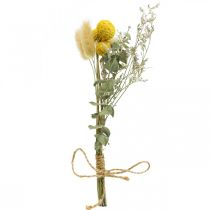 Minikimppu kuivattuja kukkia boho, kuivattuja kukkia kukkakauppa L22cm