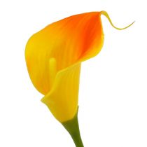 kohteita Mini calla tekokeltainen 28cm 12 kpl