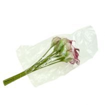 kohteita Mini calla keinotekoinen 28cm Erika, kerma 12 kpl