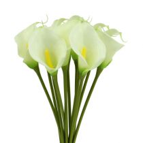 kohteita Mini calla tekovalkoinen L 28cm 12 kpl