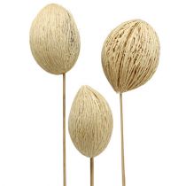 kohteita Mintolla-pallo valkaistu 8cm - 10cm L46cm 6 kpl