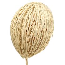 kohteita Mintolla-pallo valkaistu 8cm - 10cm L46cm 6 kpl
